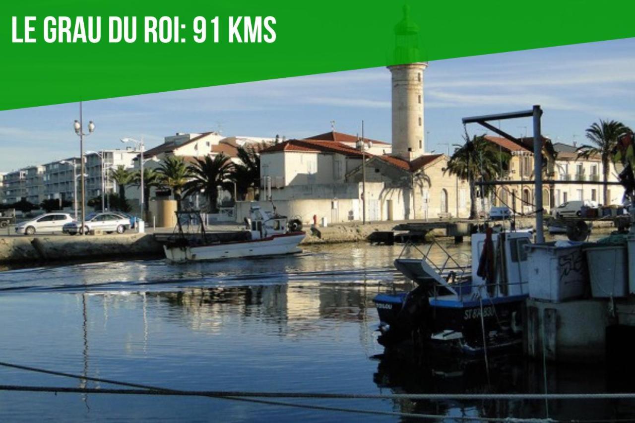 Au Roi Rene - Ac Clim - Wifi Leilighet Avignon Eksteriør bilde